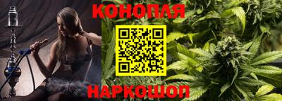 шишки Ирбит
