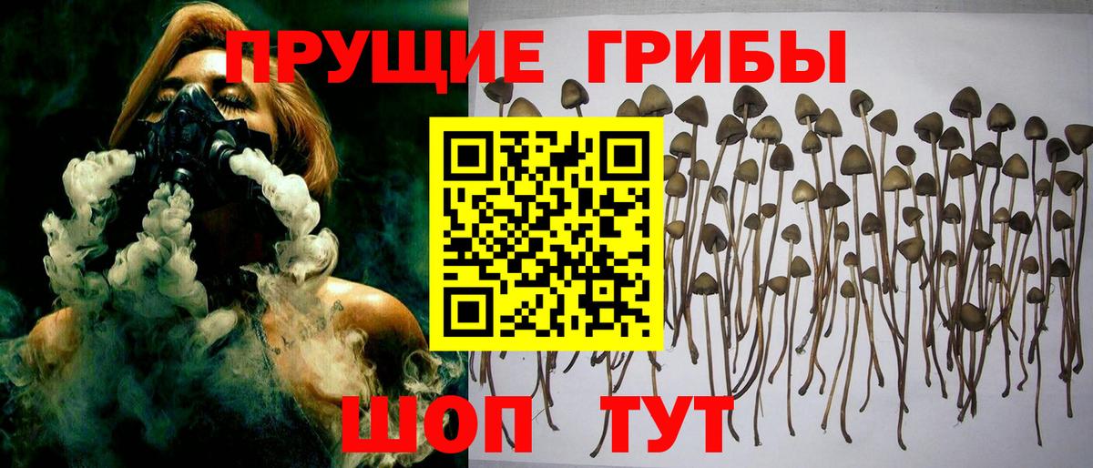 Галлюциногенные грибы мицелий Кулебаки